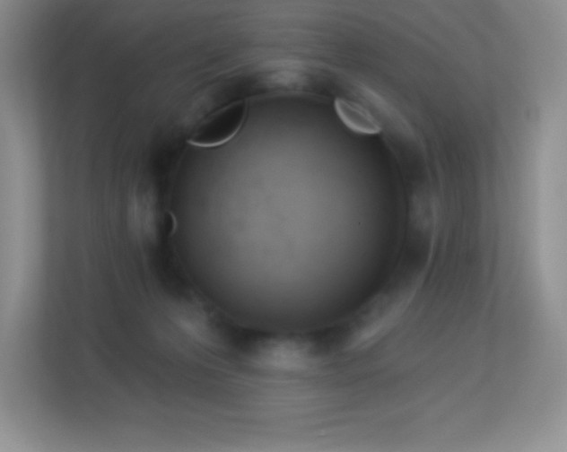 X0000113920223200909241536