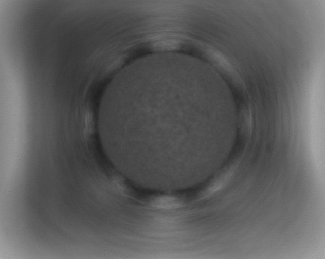 X0000113920224200909241536