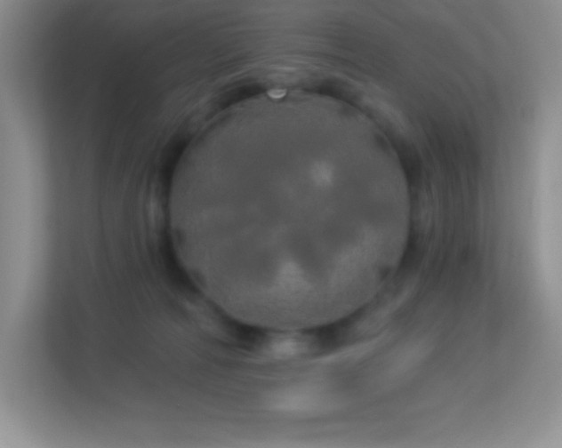 X0000113920226200909241536