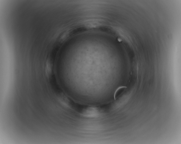 X0000113920227200909241536