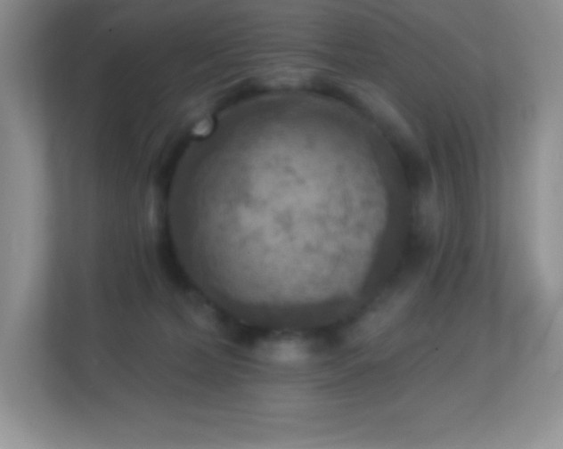 X0000113920228200909241536