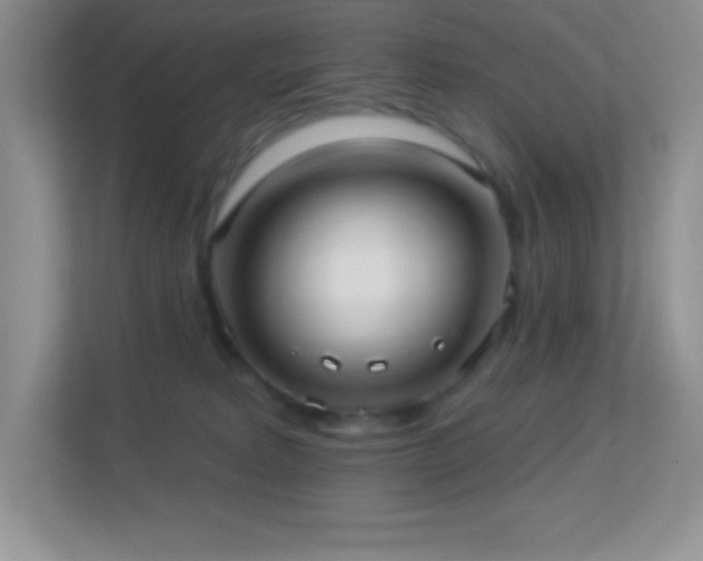 X0000113920229200909241536