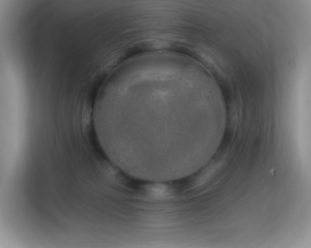 X0000113920230200909241536