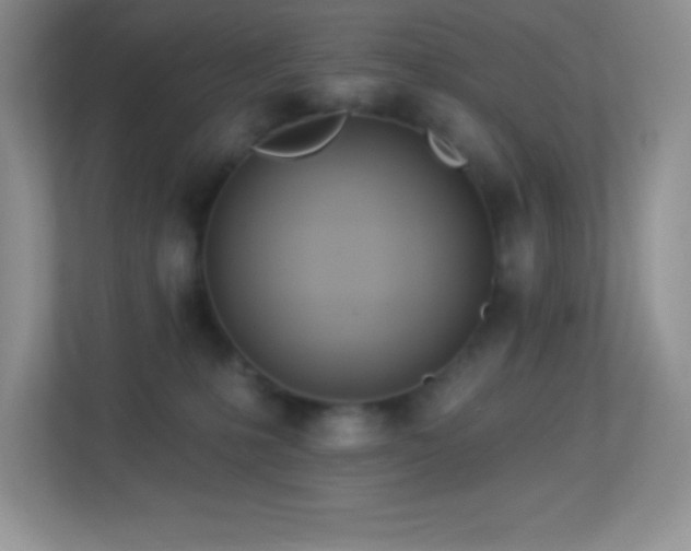 X0000113920231200909241536