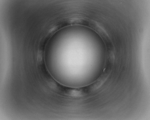 X0000113920232200909241536