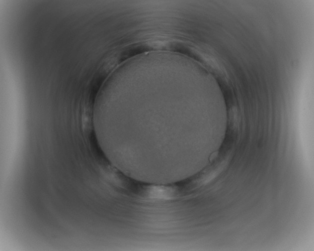 X0000113920234200909241536