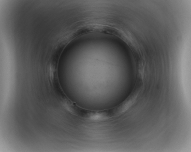 X0000113920235200909241536