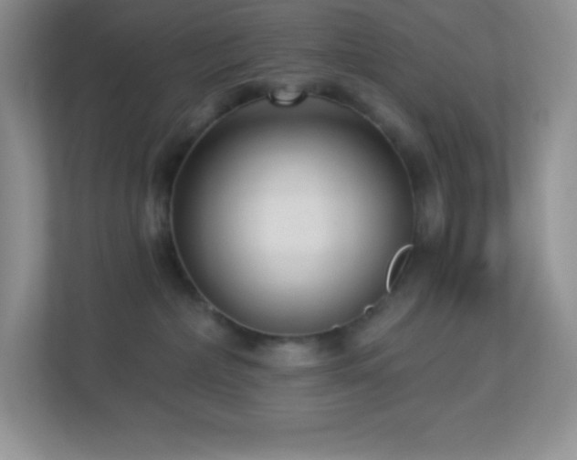 X0000113920236200909241536