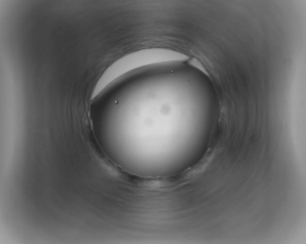 X0000113920237200909241536