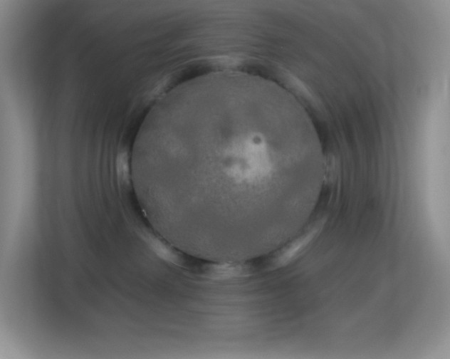 X0000113920238200909241536