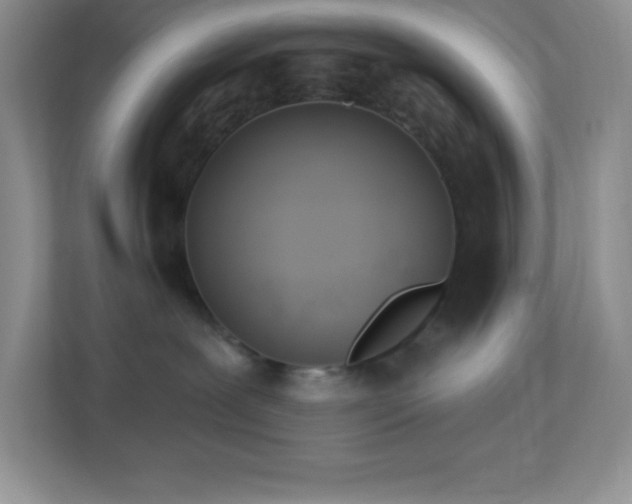 X0000113920239200909241536