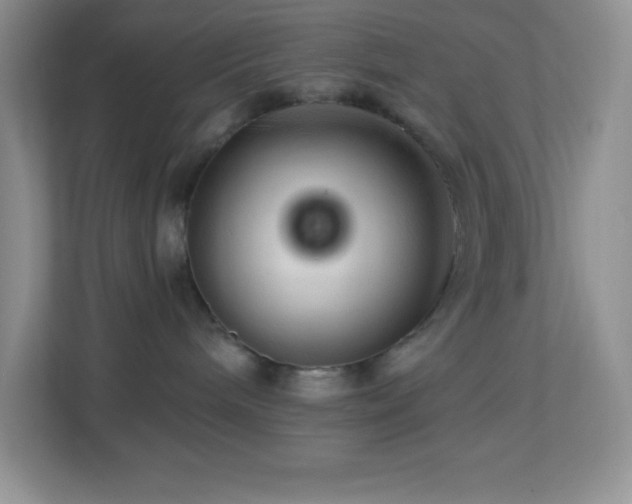 X0000113920240200909241536