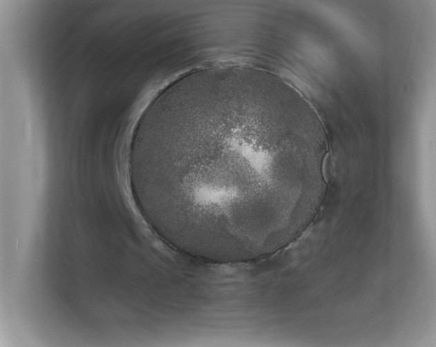 X0000113920241200909241535