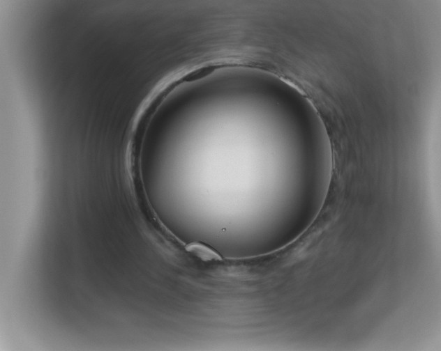 X0000113920244200909241535