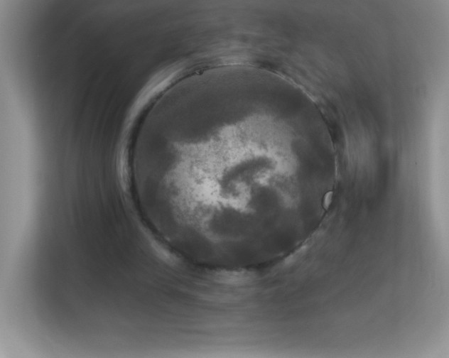 X0000113920245200909241536