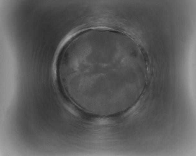 X0000113920246200909241536