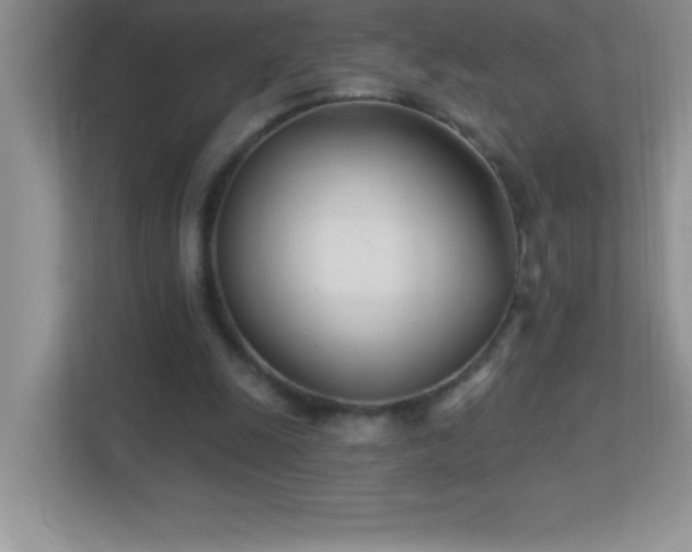 X0000113920247200909241536