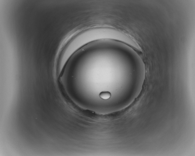 X0000113920248200909241536