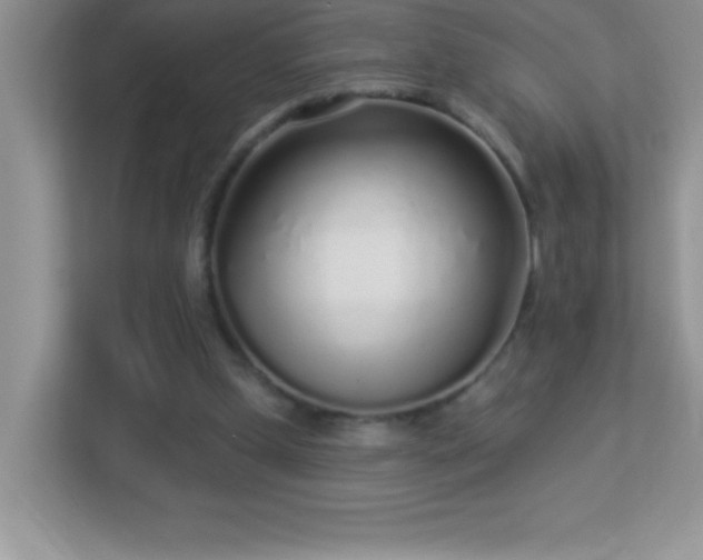 X0000113920249200909241536