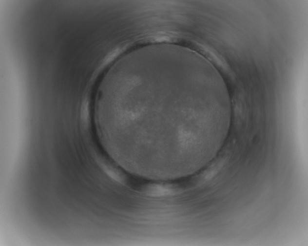 X0000113920250200909241536