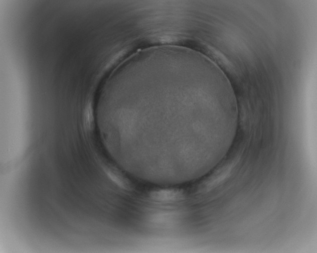 X0000113920251200909241536