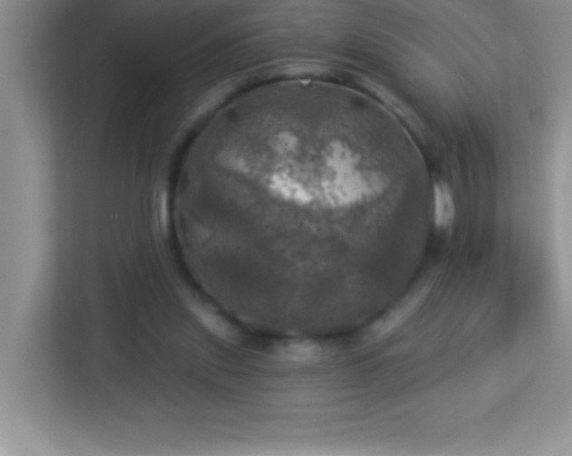 X0000113920253200909241536