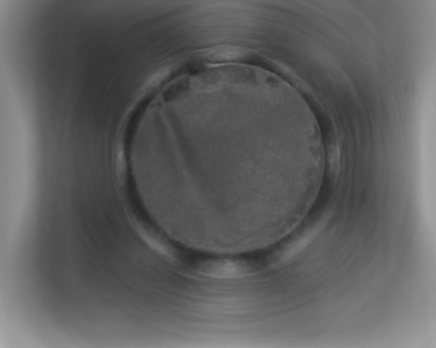 X0000113920254200909241536