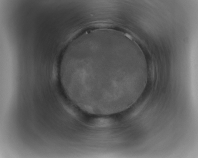 X0000113920255200909241536