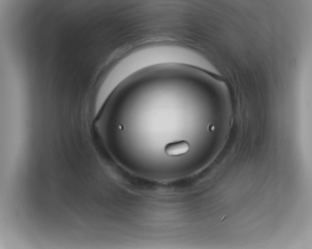 X0000113920256200909241536