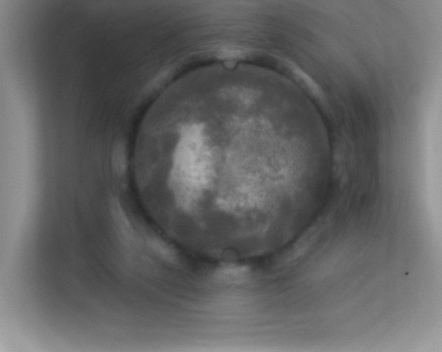 X0000113920257200909241536