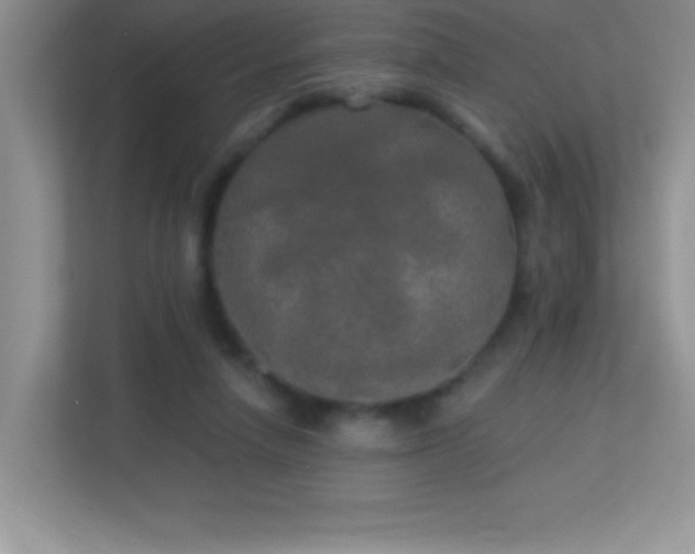 X0000113920258200909241536