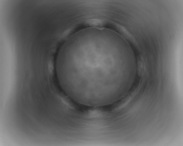 X0000113920259200909241536