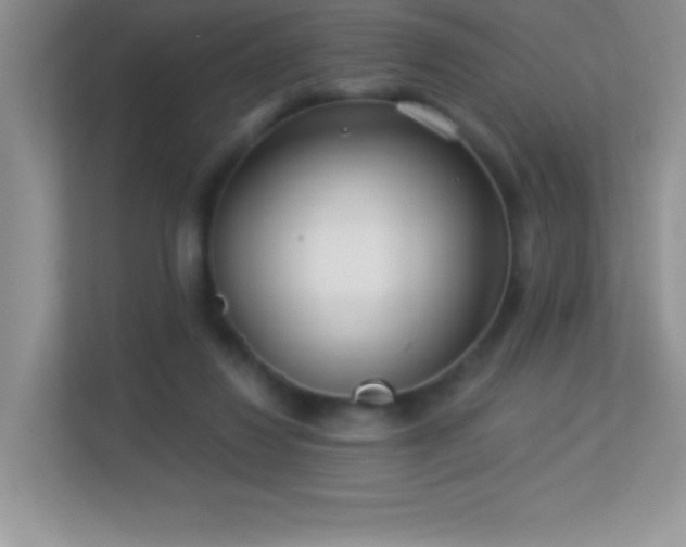 X0000113920260200909241536