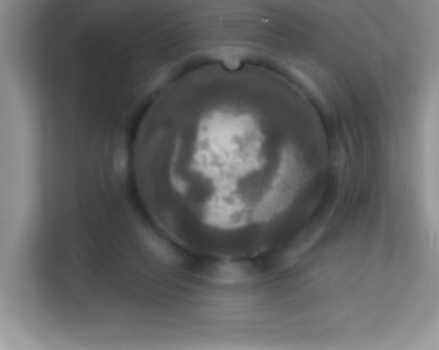 X0000113920261200909241536