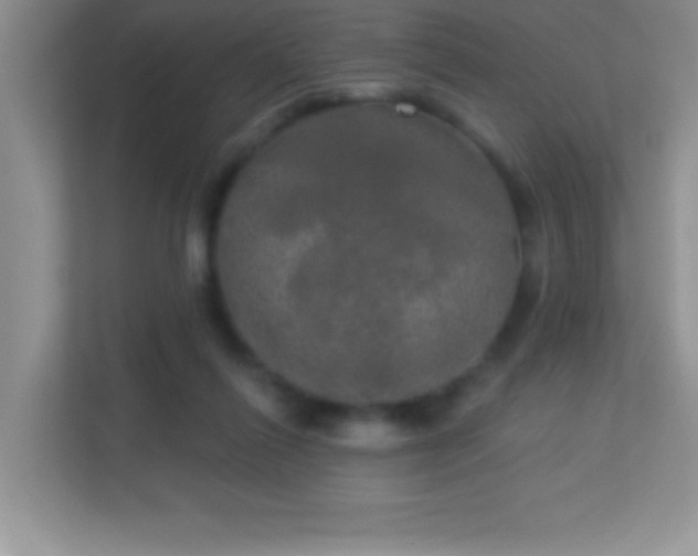 X0000113920262200909241536