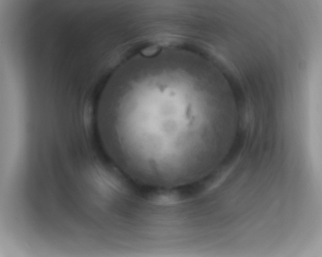 X0000113920263200909241536