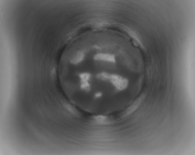 X0000113920265200909241536