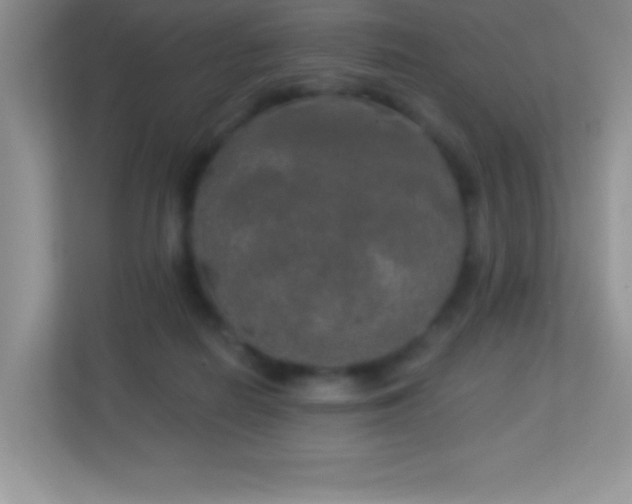 X0000113920266200909241536