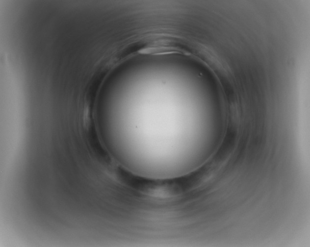 X0000113920267200909241536