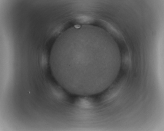 X0000113920268200909241536