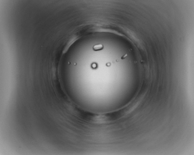 X0000113920269200909241536