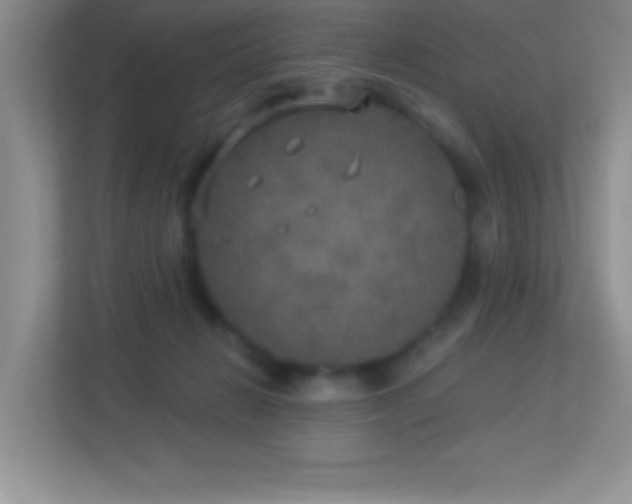 X0000113920270200909241536