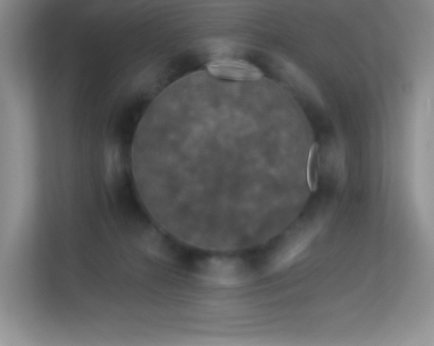 X0000113920272200909241536