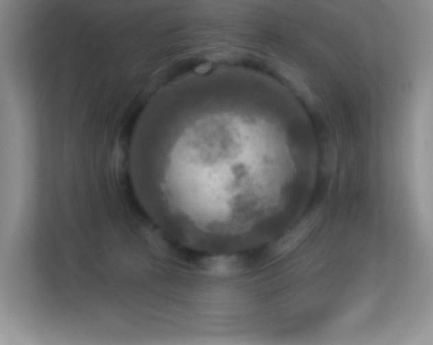 X0000113920273200909241536