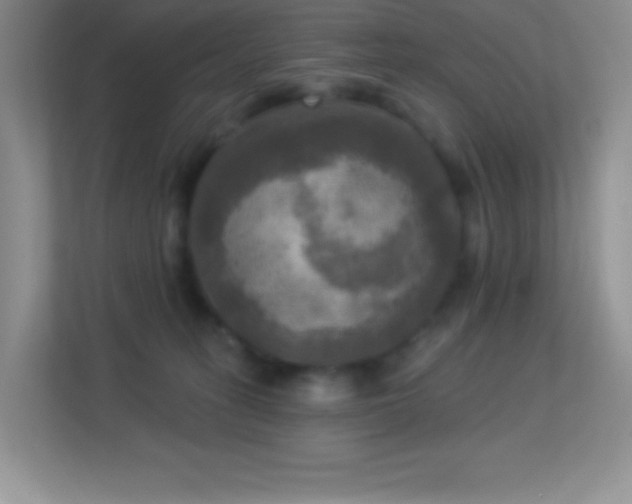 X0000113920275200909241536