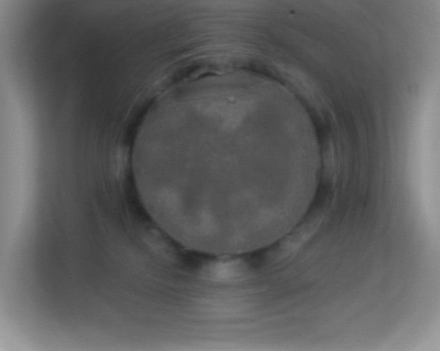 X0000113920278200909241536