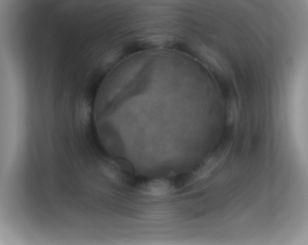 X0000113920279200909241536