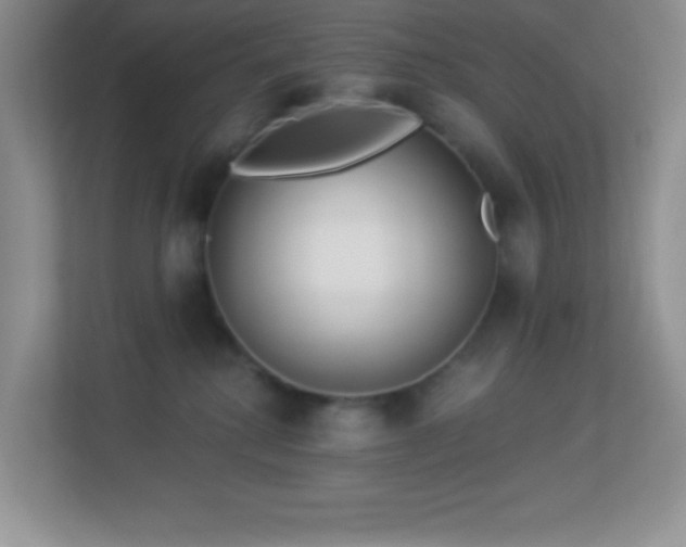 X0000113920280200909241536