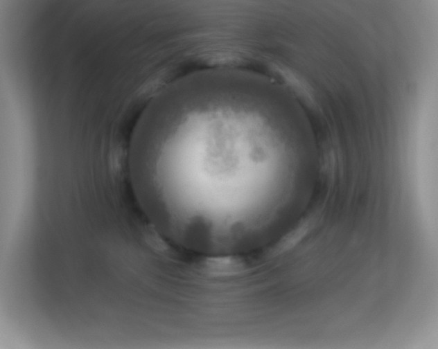 X0000113920281200909241536