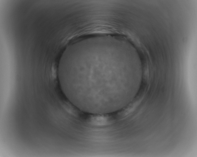 X0000113920282200909241536